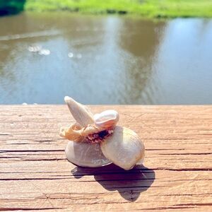 Handcrafted Shell Hair Clip